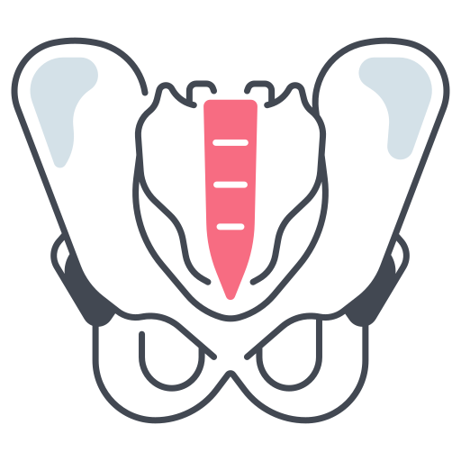 Fisioterapia de suelo pelvico